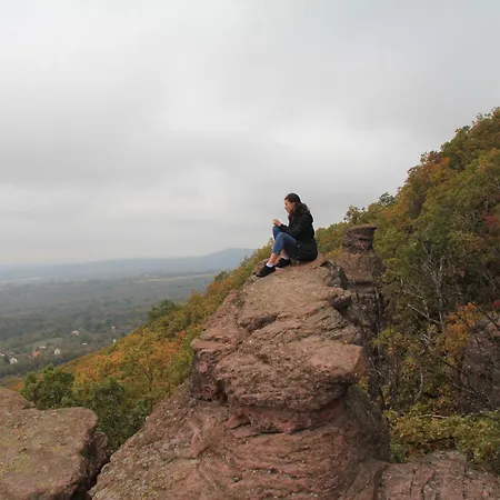 Kemences Vendeghaz Vilă *